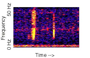 The Spectrogram of the Bloop The Spectrogram of the Bloop
