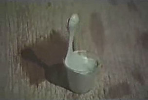 Ice Cream being allegedly levitated by the Hutchison Effect Ice Cream being allegedly levitated by the Hutchison Effect