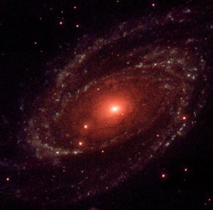 Black Hole in M81 Black Hole in M81