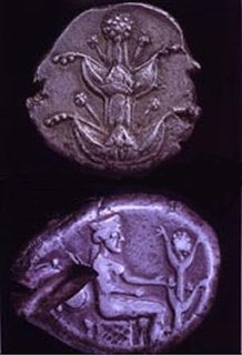 Cyrene coins depicting silphium Cyrene coins depicting silphium