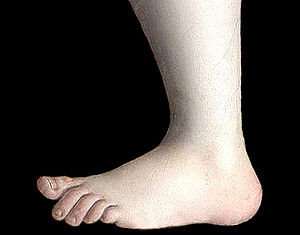 A foot. A foot.
