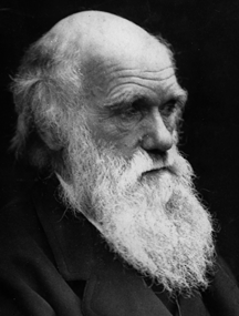 Vatican Sides With Darwin