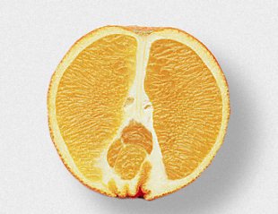 A navel orange and its underdeveloped siamese twin