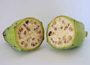 Gello banana seeds