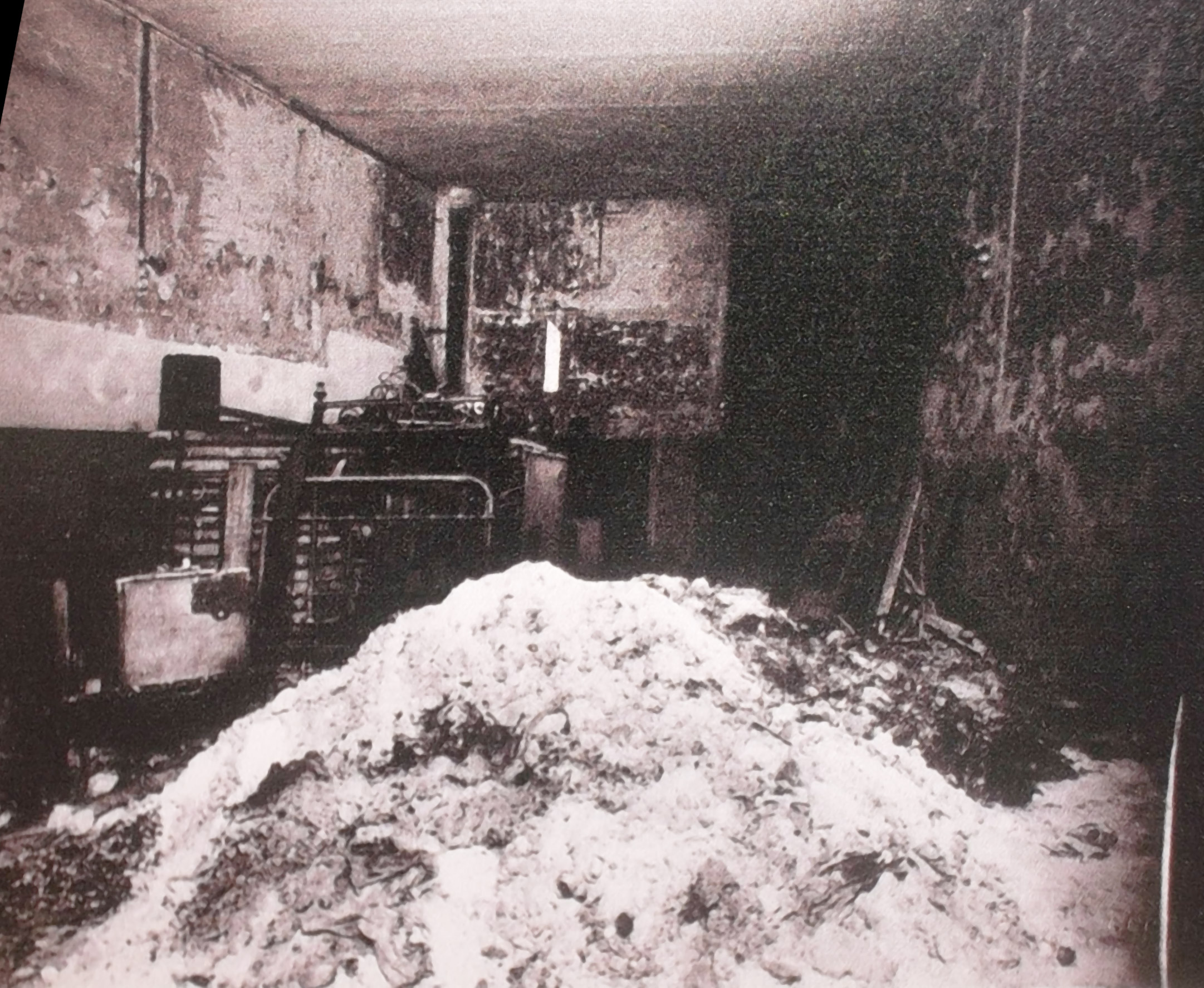 A photograph shown at the trial, a heap of human ashes from Petiot's basement