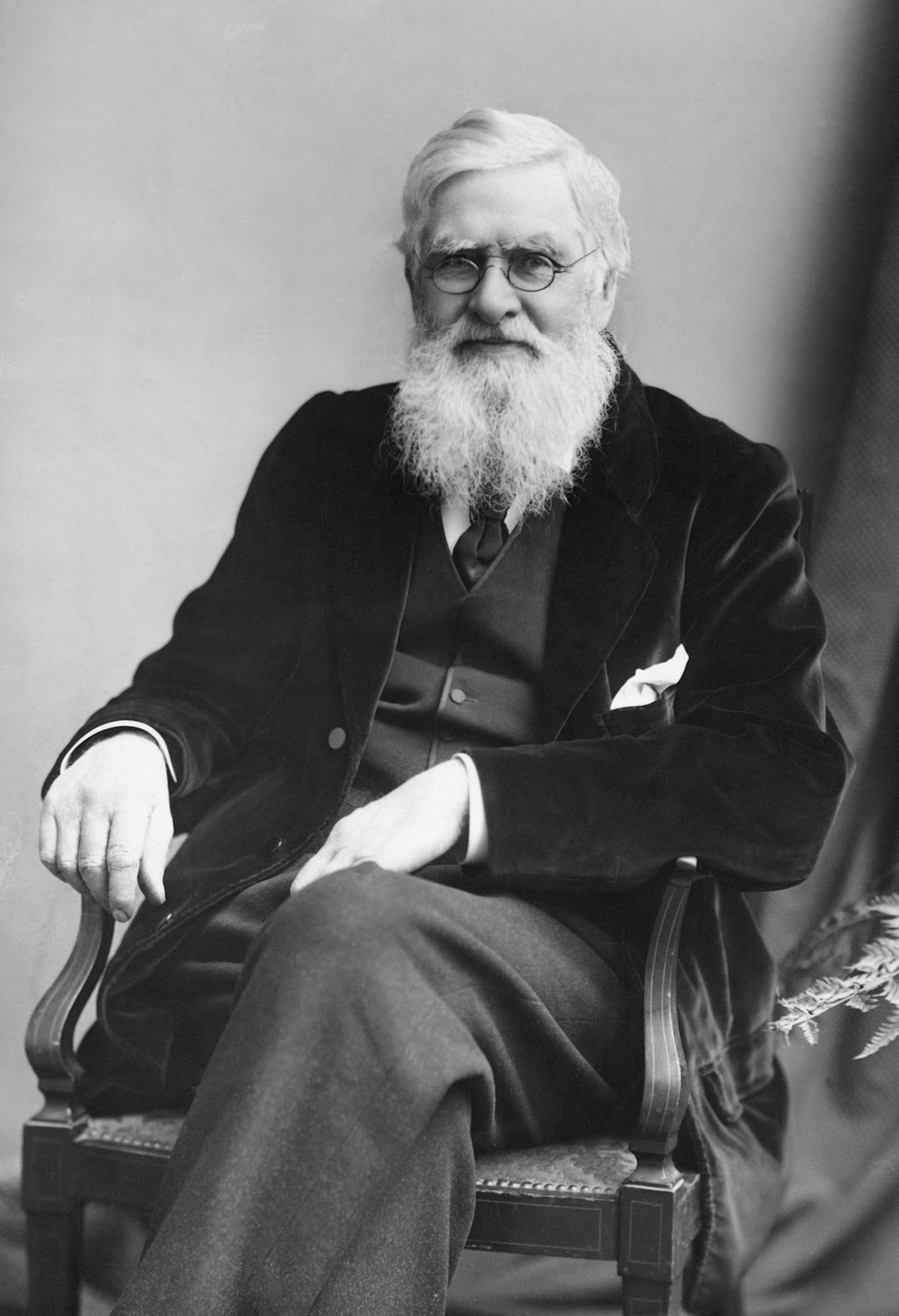 Alfred Russel Wallace ca. 1895 (Wikipedia)