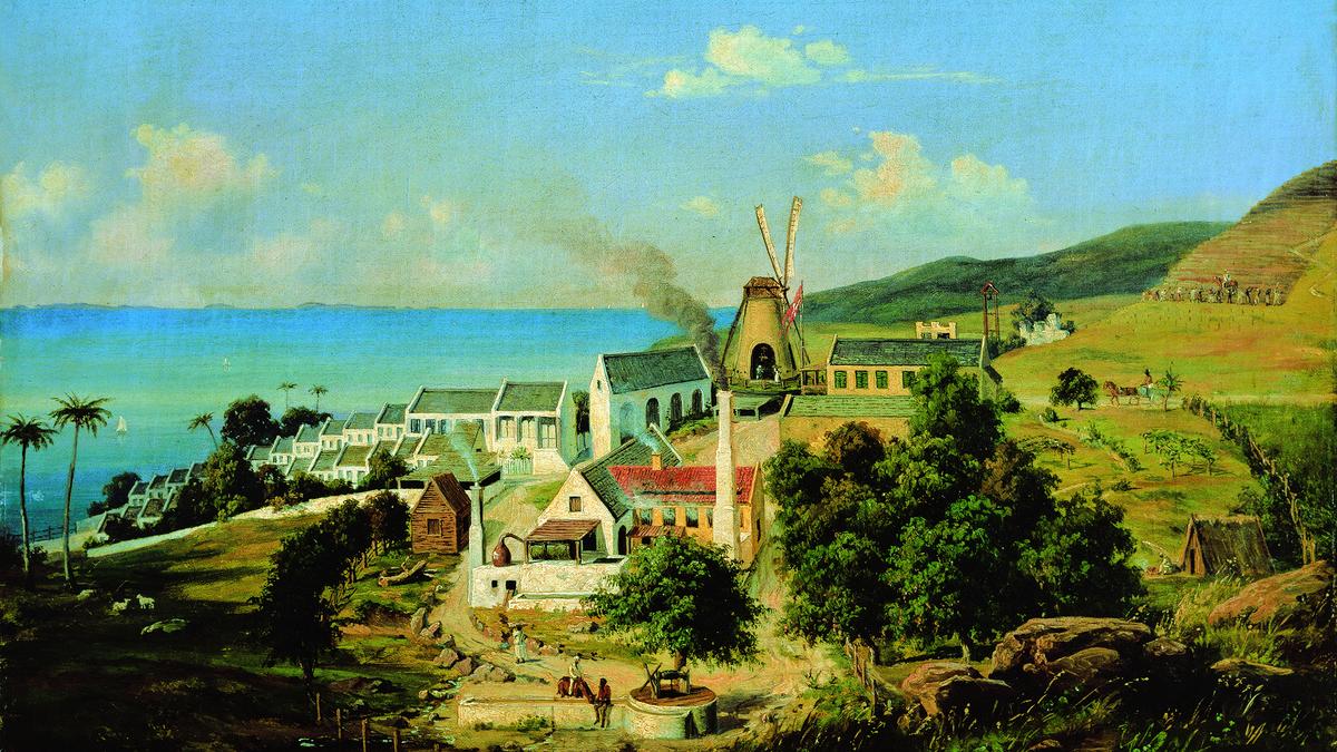 Sugar plantation in the Danish West Indies (National Museum of Denmark)